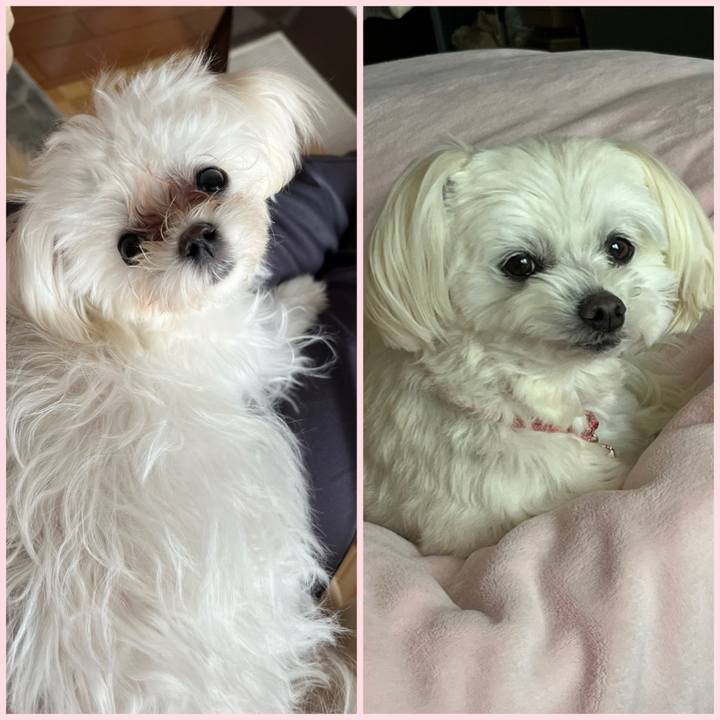 3081fad7 fc39 4ebf a402 090edcfedd33 1709875613885