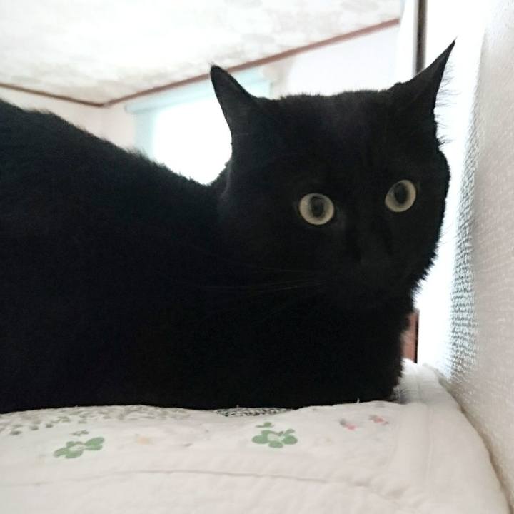 3081fccf 5338 4d5b 947a 033ab4da37d6 1566104485832