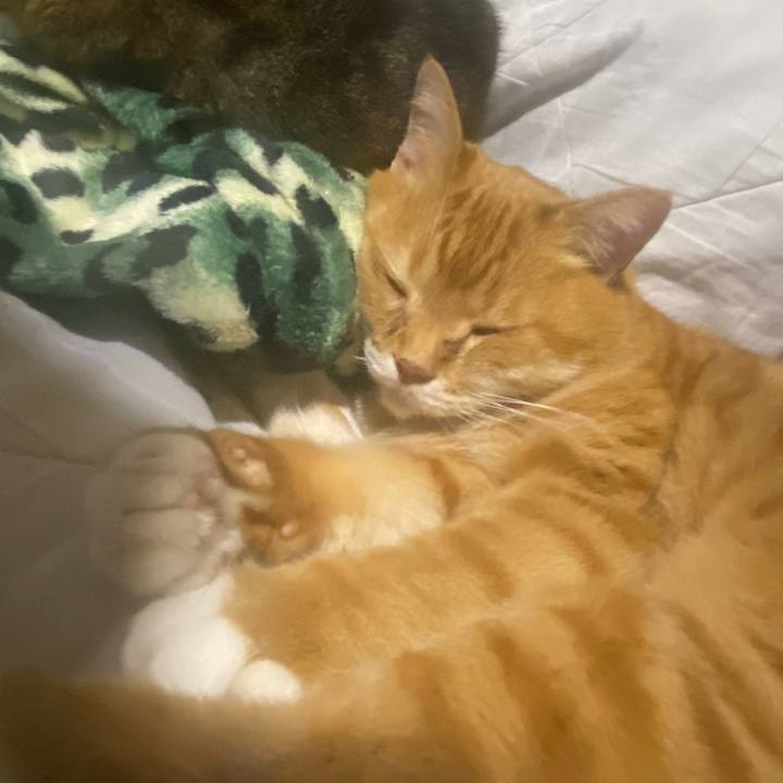 30820aa1 9e09 40fe a8d8 dc5831c32afc 1639702806489