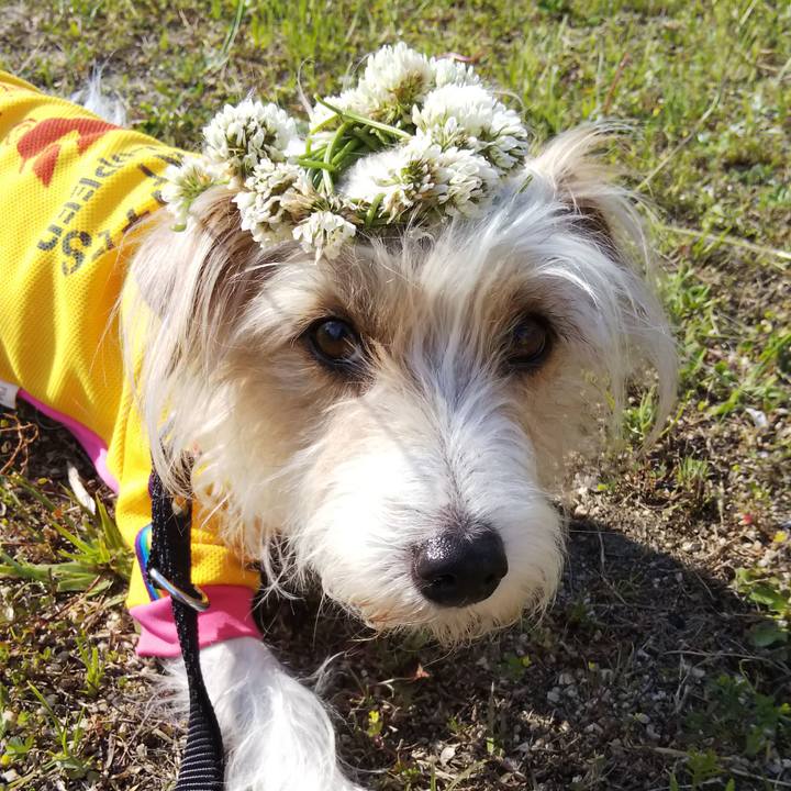 30821573 beed 4379 ae42 4b72f1626489 1525436815744