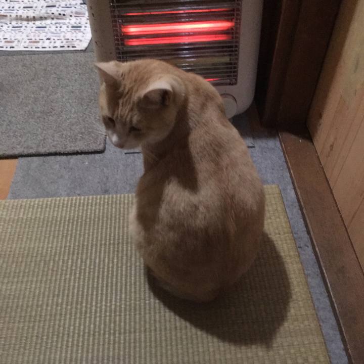 30822cc0 af99 48cb b08c b53b5b39f089 1510868540436