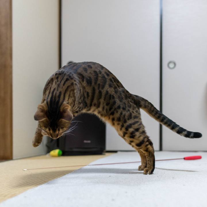 3082632f 77f3 4015 a79d a3ec364db289 1517792834355