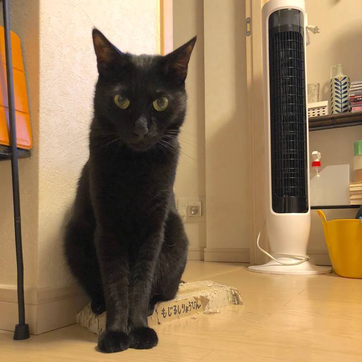 308263ed 0c67 445b bf91 af244996f83e 1526814018963