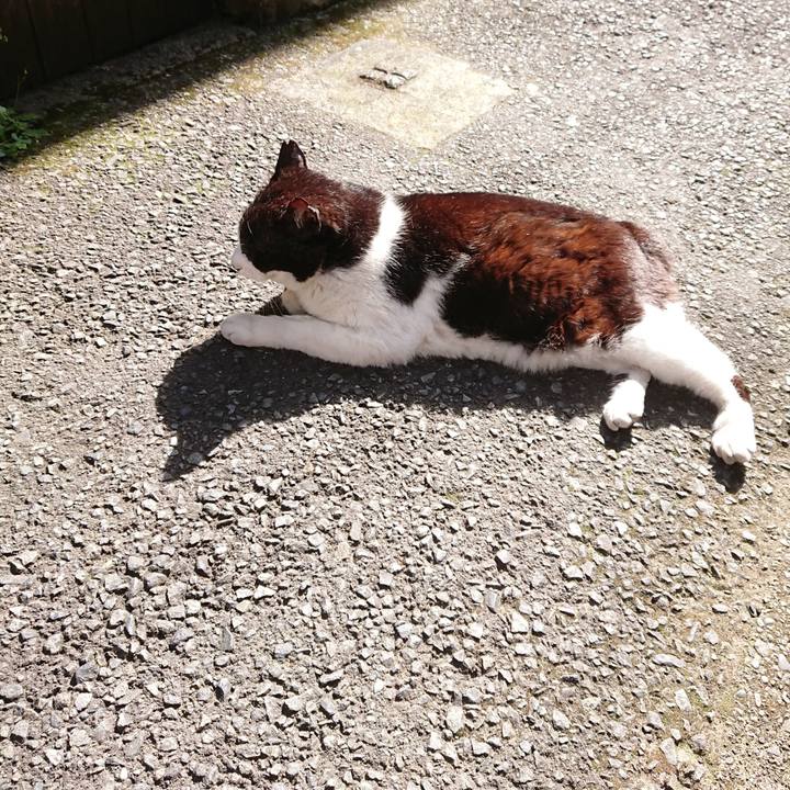 30826840 144e 47dd af3b 61a4af9a66f5 1683272156408