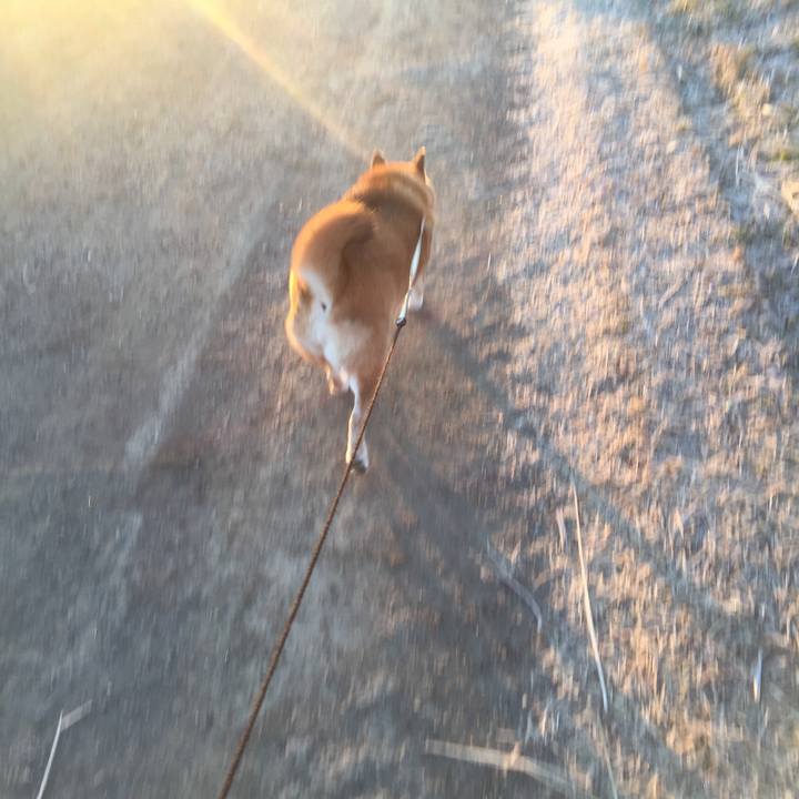 3082909f 69d5 4239 924f 466b34b593d1 1514822367004