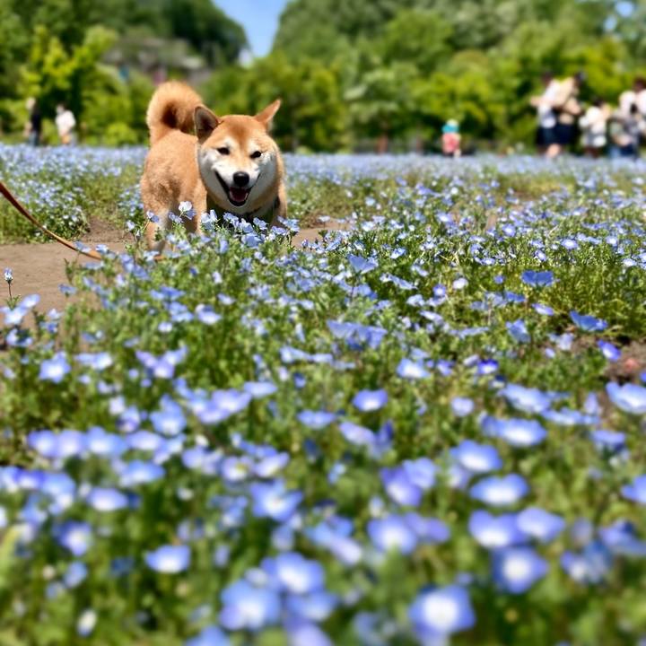 3082a9f4 c897 452f 9c32 9a7c58551435 1651993971588