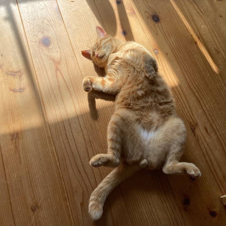 3082bc04 c088 4222 a06f af68ee4f212a 1621948641511