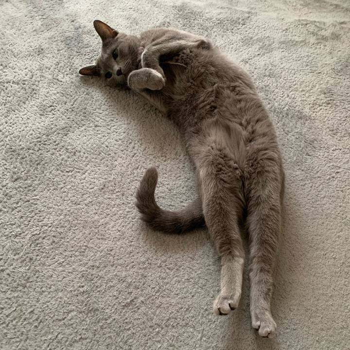 3082c639 c0c0 4eab afde 07c4a099106a 1631055167205