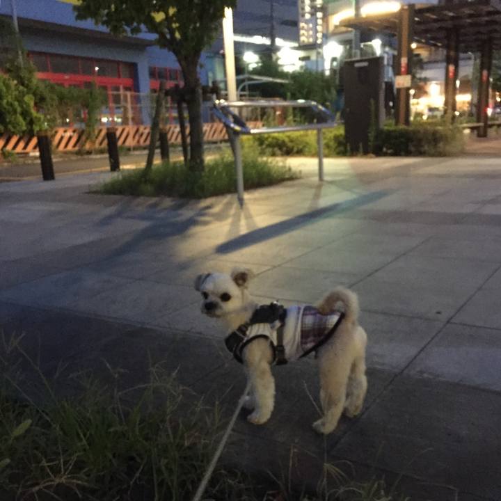 3082d363 3732 4760 97fd 0665224a4015 1565612771939