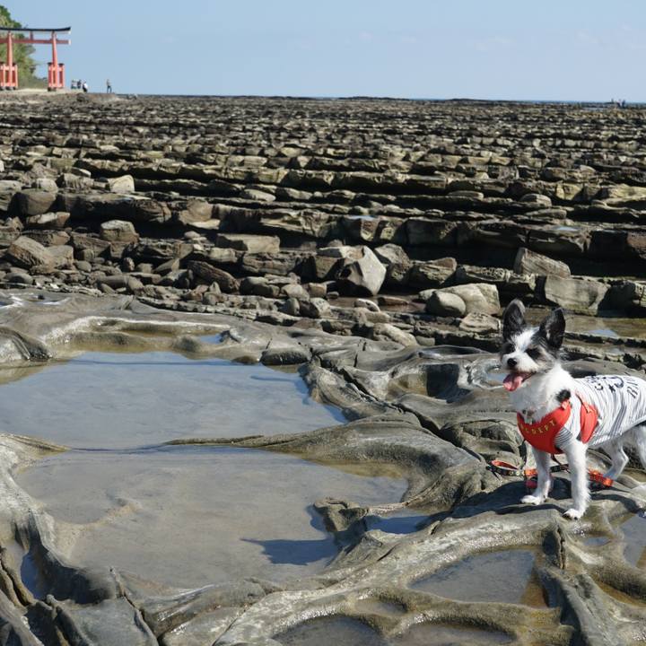 3082d45c 1e63 4eac 90e0 7f8e3e3e6d02 1698747751745