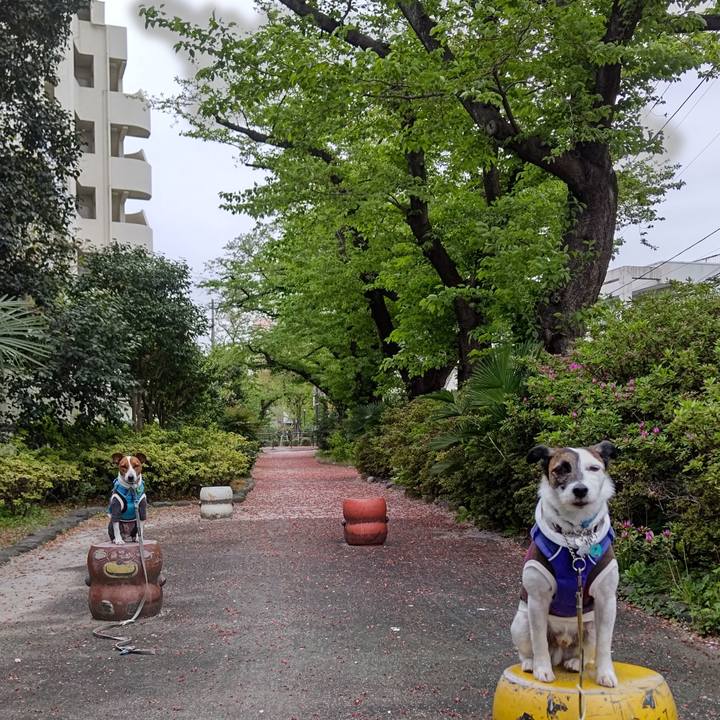 3082e38d a343 40d5 a243 85abb941a18f 1649887825496