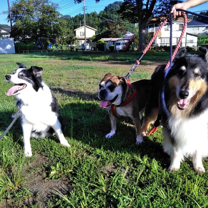 3083271d 2ec8 413c ba4a 300cca96a8b7 1567865251897