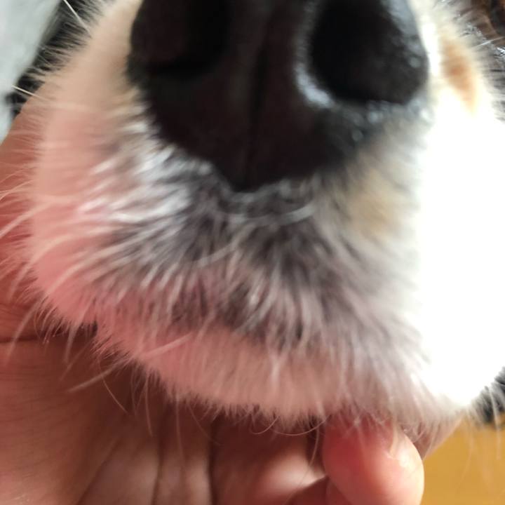 30834555 7e0b 4c6d b778 76abe5d17e0b 1563072250931