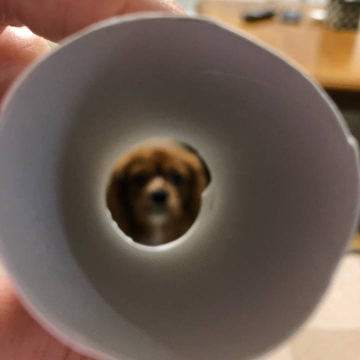 308349da ea85 4a35 ba49 572819d6d098 1528344305073