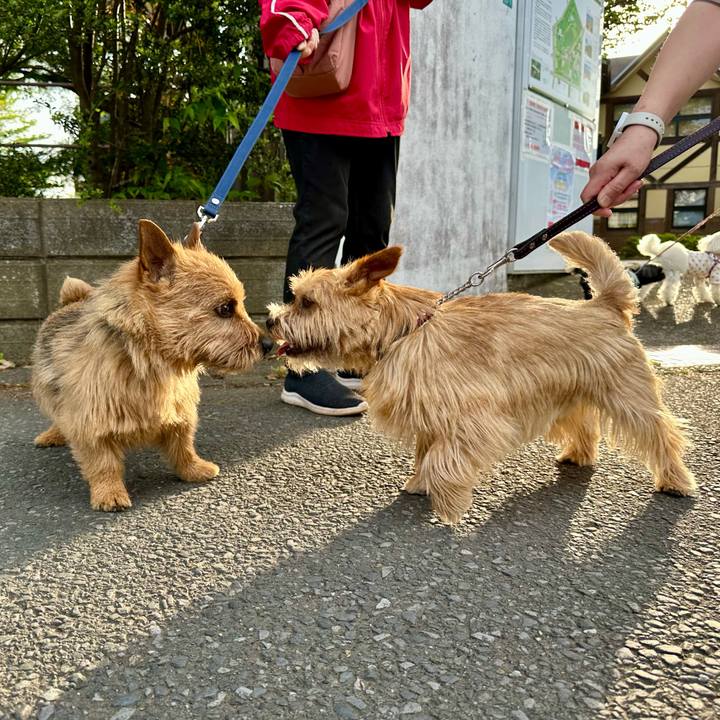 3083a11d 699f 4b5c a79e 08b173792a7e 1746504398864