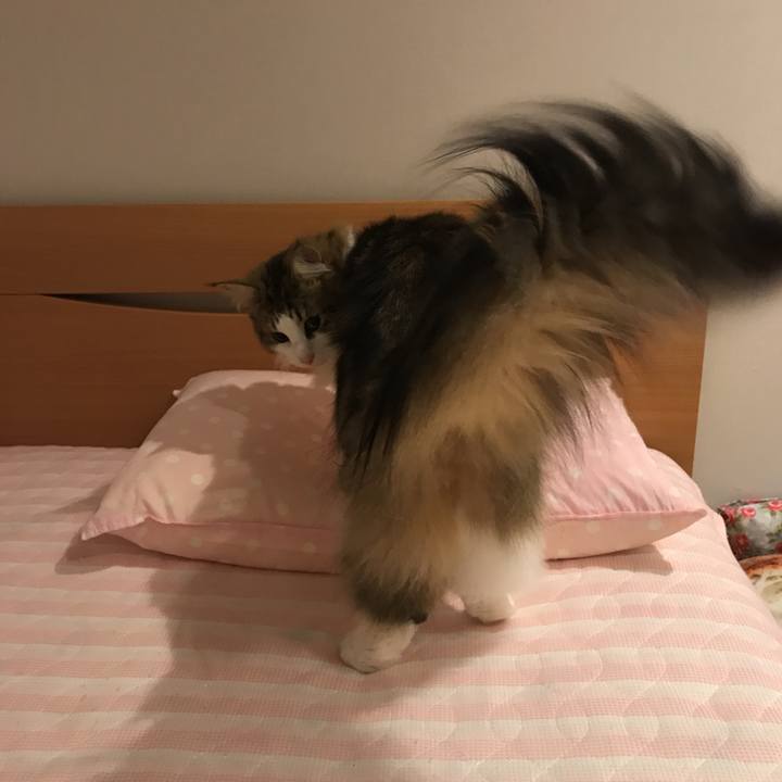 30842178 0b6f 42da 964a abf106d2b3b3 1532529995265