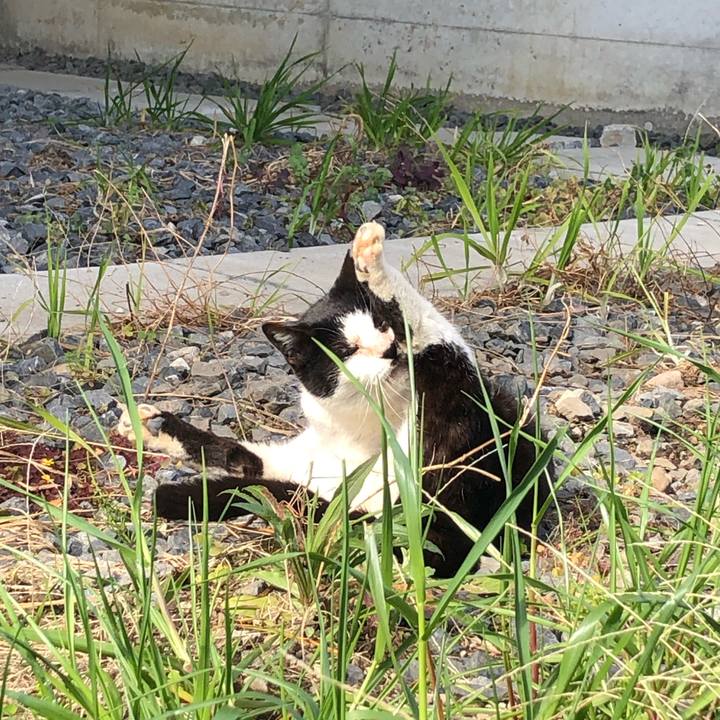 30842a1f c02e 4d87 b29e 87e9ca97c448 1584027082339