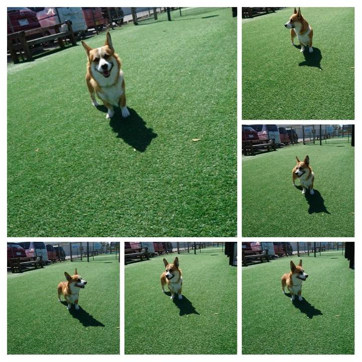 3084382c 8590 4995 a9cc 2403fbc8f2c0 1587152981381