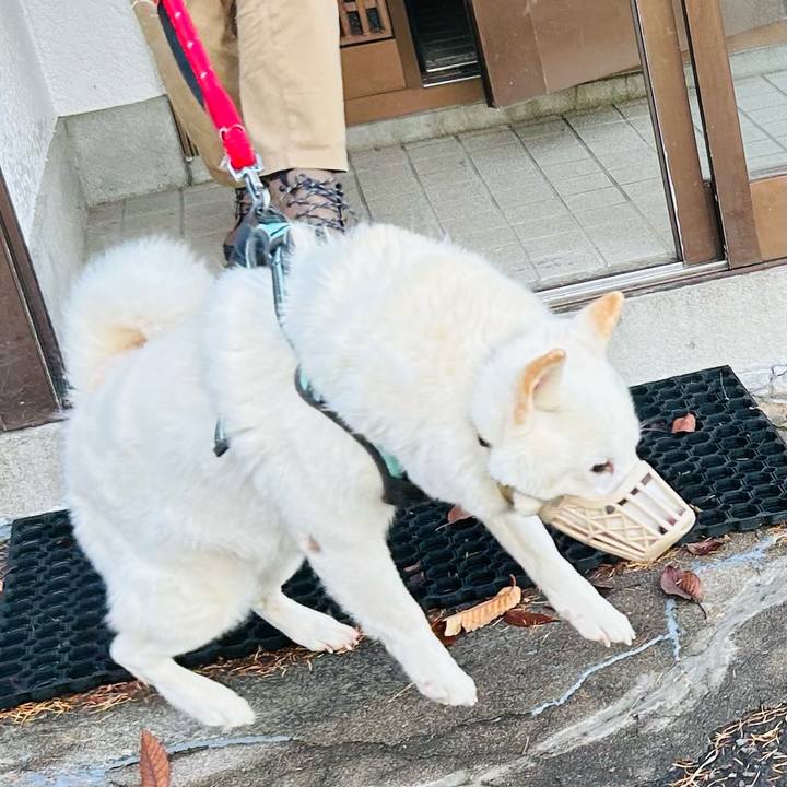 30844024 83d9 4d00 90ca 0d828caed7ba 1700524523335