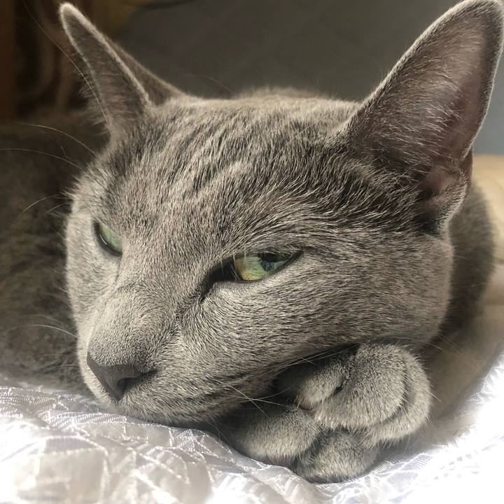 30844163 2964 47f2 88f3 0df8a525e4dc 1568958522447