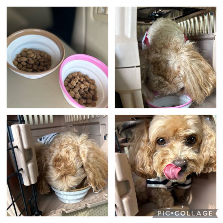 3084b562 938b 49ba 88a1 55b9b84aad00 1688276969977