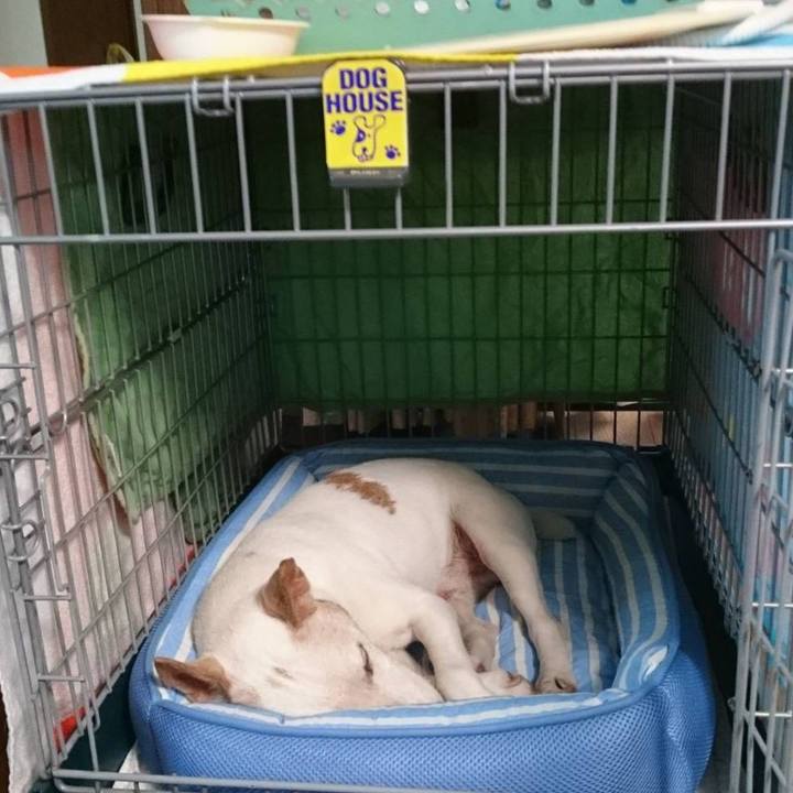 3084f0a2 320e 4194 a739 6c2a965ce956 1656159665421