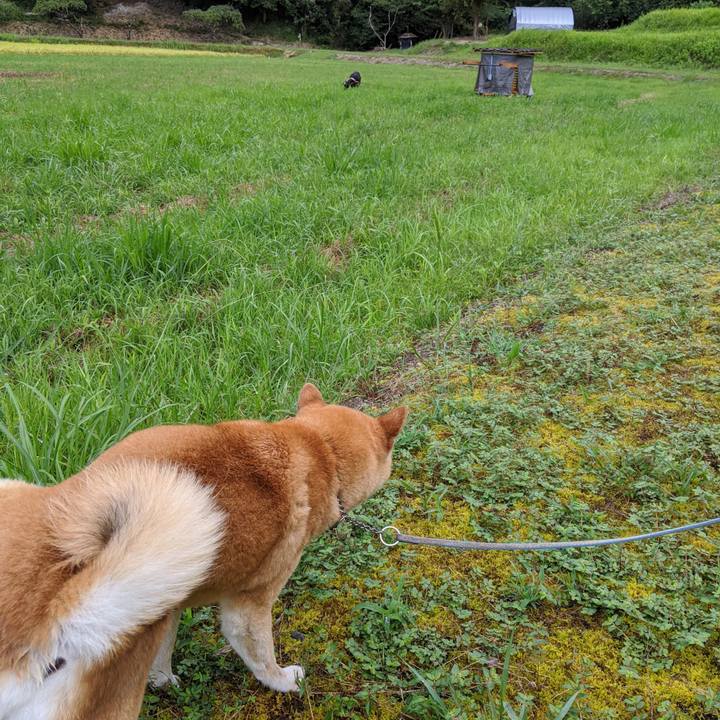 3084f98d 2c27 41c3 9770 9108f5a3efad 1598613030989