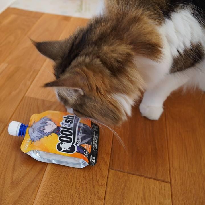 30850f56 49fb 423a 8ee6 f860bdab72bc 1638349646634