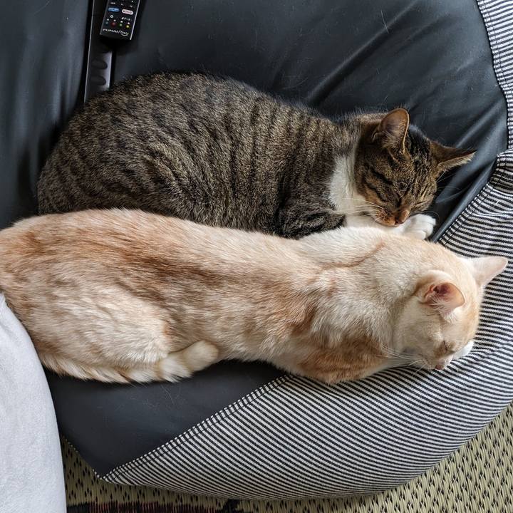 308519d3 1245 4cbb a71d b873cb34f6d9 1691825491756