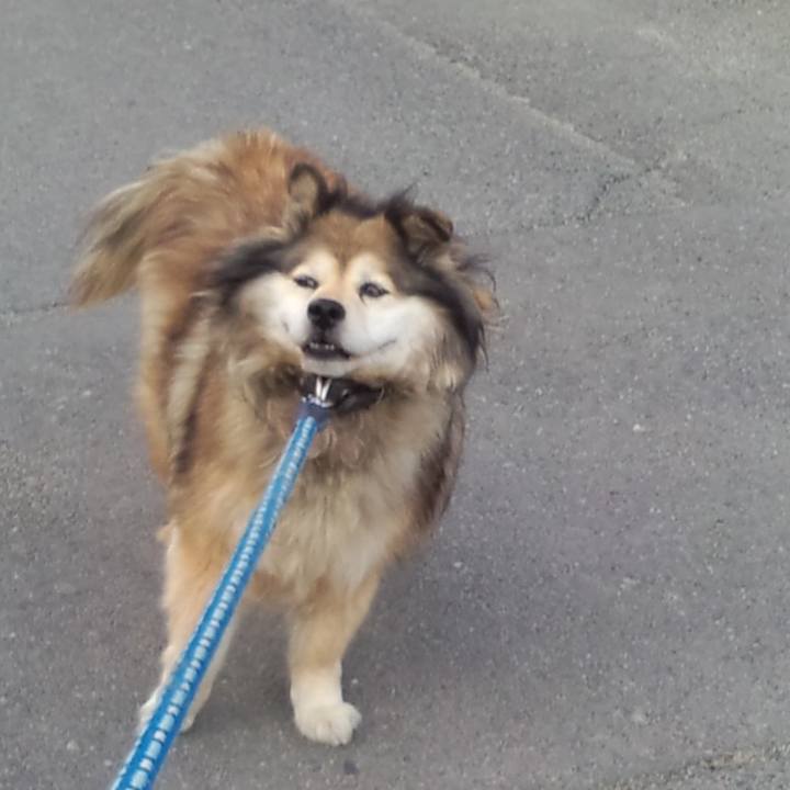 30855f0b efe1 4ff4 aee6 a1388ee02b7a 1591553433406