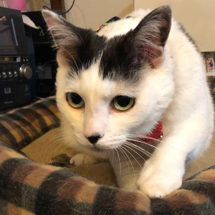 30858f0f 26da 4c4e ac4d 31f6409bf9d0 1526120922115