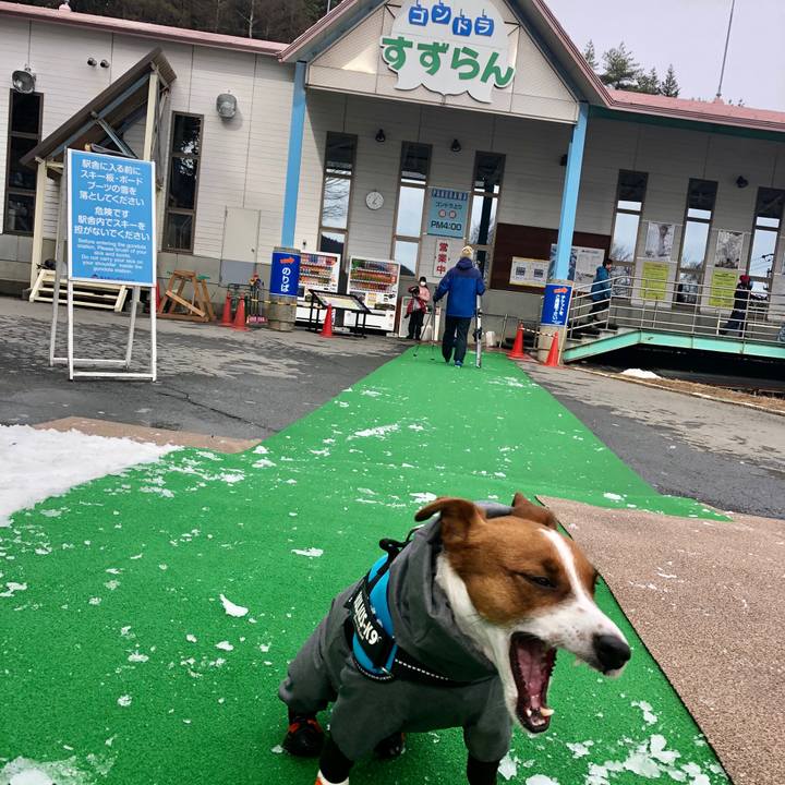 308596b5 3415 4600 b690 42fce8e32005 1581771170172