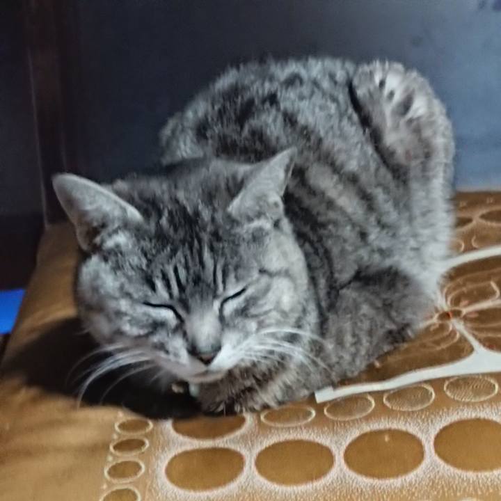 3085d855 bfca 4843 b1c8 e508cc9cb2b6 1557908956111