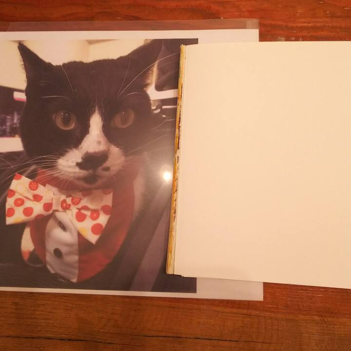 30861b28 12be 4362 8968 45ebc19b637a 1534906160634