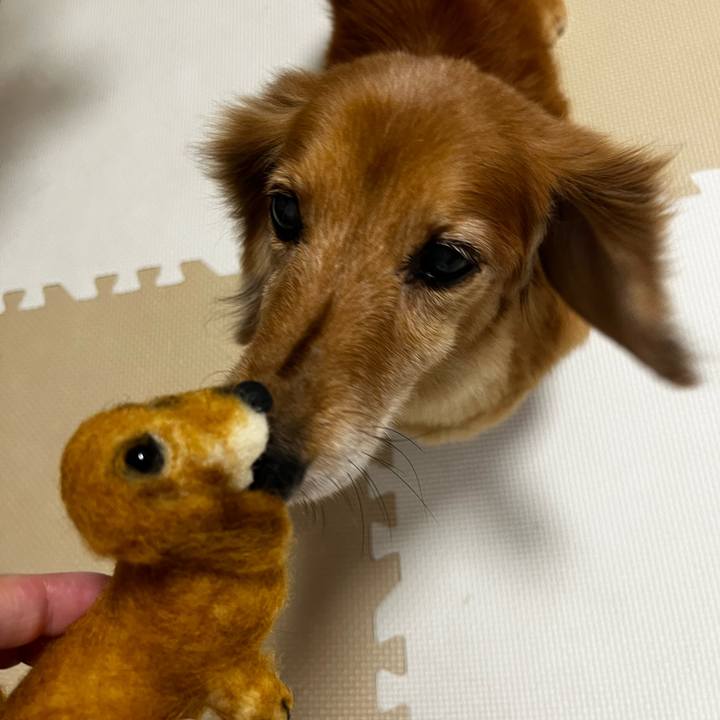 30862870 c634 4bc5 9456 74b64d335244 1660480989110