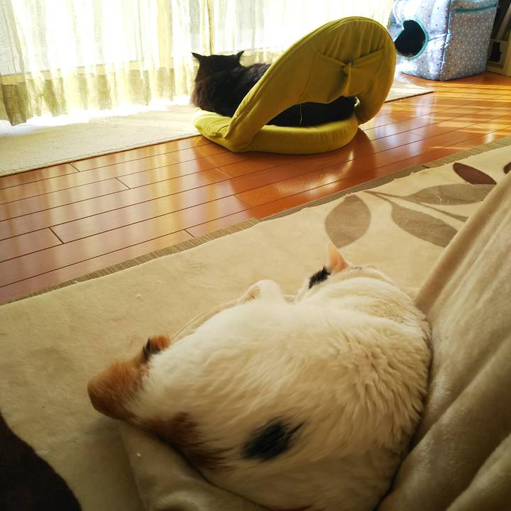 308669e0 b713 48d7 b0a6 eafaa3b80bb7 1574984700593