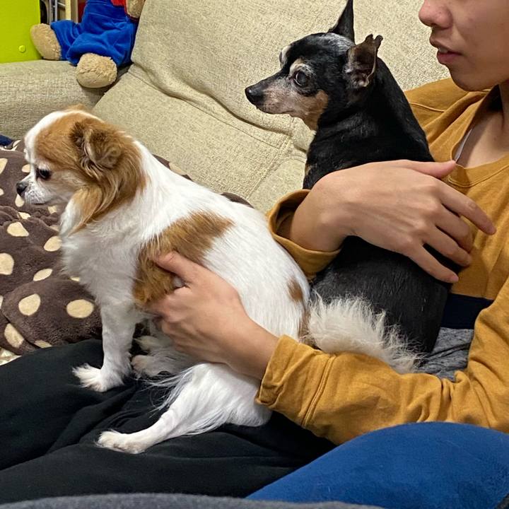 3086b900 5a96 4fe7 8e17 e5c0ce06c58d 1578391166196