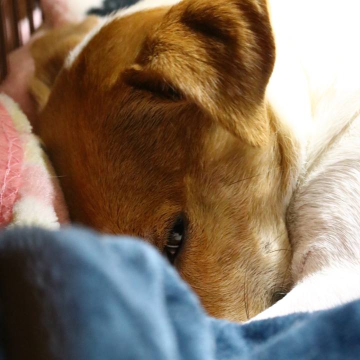 3086bcb9 5172 4e6b 90c4 6605e6310a89 1544098328274