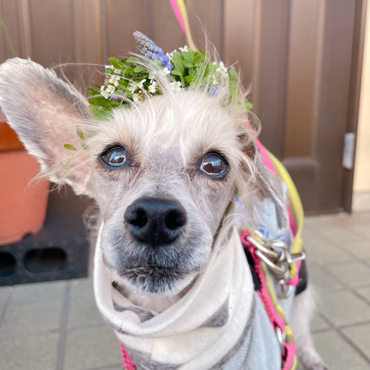 3086f332 5681 4472 b06d 1a0c9b5217a5 1774251337639