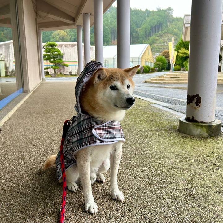 30870a07 c006 48fe 875c f67d4d2c6507 1696762155065