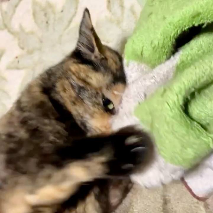 30870c20 a679 4ad4 8b1e 41d8386a9f9e 1736423202513