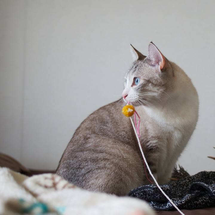 30873806 b026 4339 8d73 f73861a1552e 1535585493874