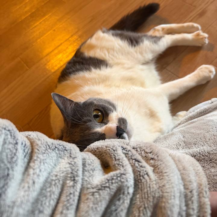 30873f82 d0e8 458f a97b 654e1d1efd75 1771543787358