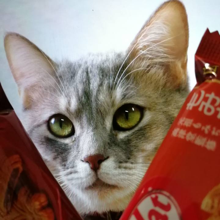 30874499 47e1 4a8b bdd0 88c13a4f80a1 1541155009951