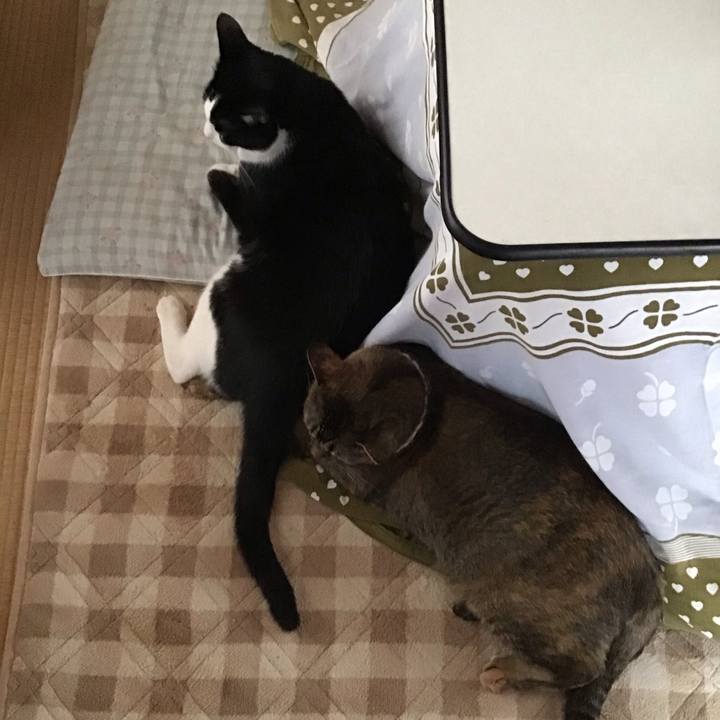 30874824 00d7 4b1e 95f0 e3274c4160f5 1700123077887