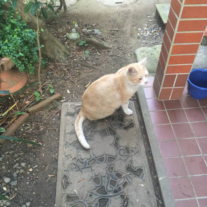 3087599f 8ded 4c12 8b6f 29cdc2d97625 1531431714794