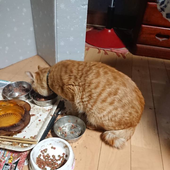 30876551 a8fe 4210 9655 9fd5e40a21d6 1649364831475