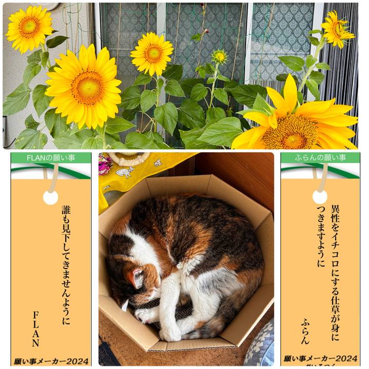 308796f4 22c5 45ce 8089 bf75252828bc 1720348232362