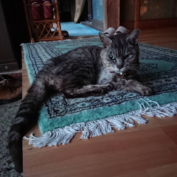 3087ab8d 4185 4e55 a4ed 719998f5ebdc 1597440817886