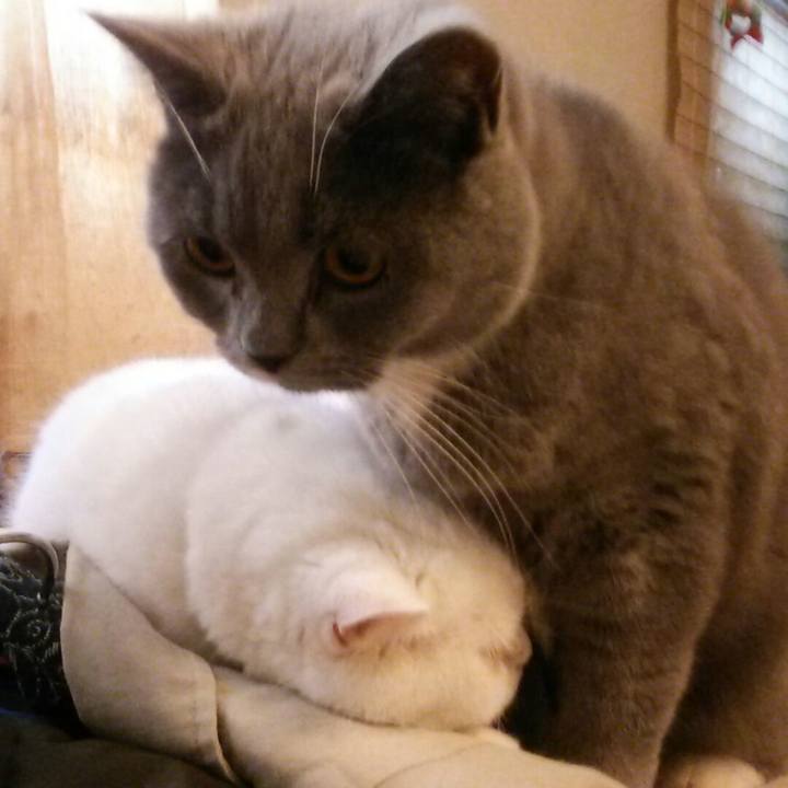 3087b703 c968 4cc3 9708 70cfe8d12f81 1549769062175